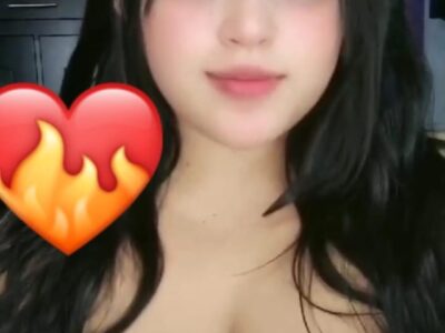 Nicol meneses